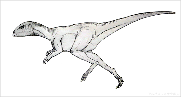 アルバロフォサウルス、桑島化石壁からコンニチハ。石川県白山市の恐竜