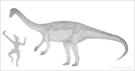 プラテオサウルス、三畳紀後期最大の植物食恐竜