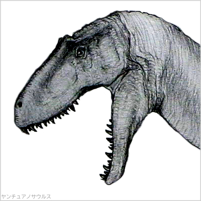 ヤンチュアノサウルス ジュラ紀の中国では最大の肉食恐竜
