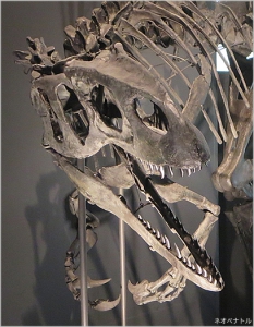 ネオヴェナトル、脳とＣＴスキャンから解明されるアロサウルス上科の活発さ