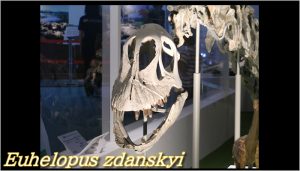 エウヘロプス、北京原人の発見者が見つけた中国で最初に学名のついた竜脚類