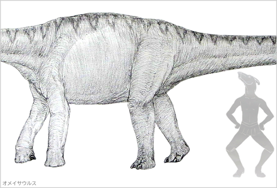 オメイサウルス