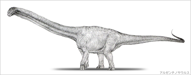 アルゼンチノサウルス 恐竜類最大 陸生生物史上最大の竜脚類
