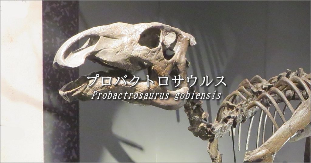 プロバクトロサウルス、ハドロサウルス科の祖先に近い仲間