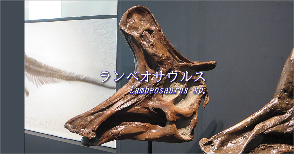 ランベオサウルス、中空のトサカを持つハドロサウルス類の代表種