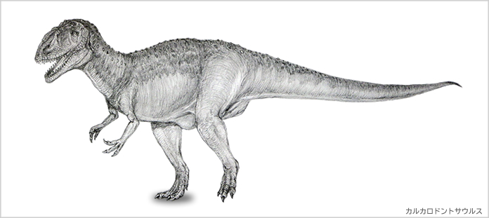 カルカロドントサウルス