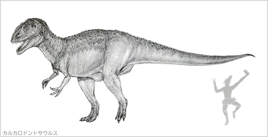 カルカロドントサウルス