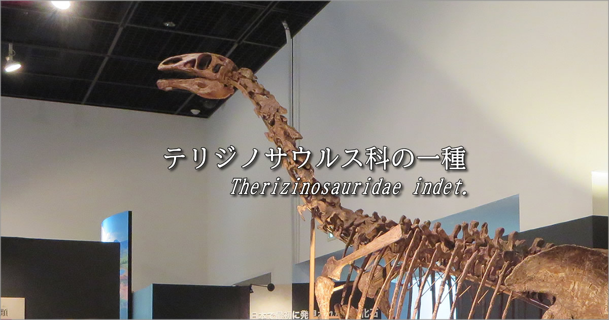 テリジノサウルス科の一種