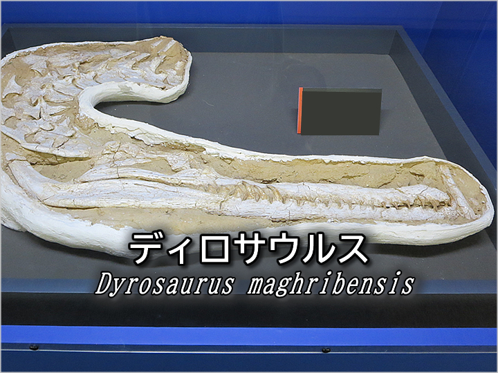 ディロサウルス
